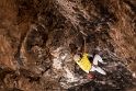 Juan en Vellón escala un montón 6c, Lagos. Granada.